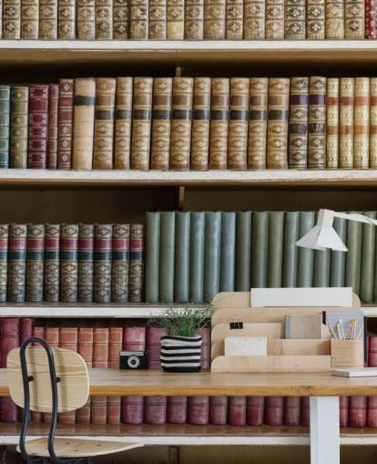 Leather Books on Bookshelf Wallpaper Mural