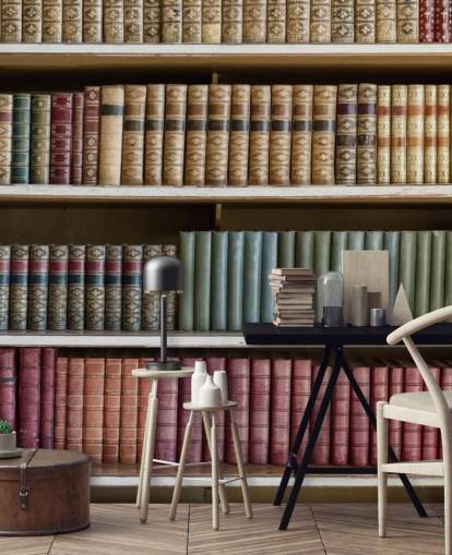 Tapeten-Wandbild „Bücher im Bücherregal“