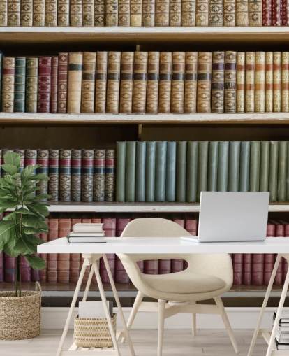 Papier Peint Fresque Livres en Cuir sur étagère
