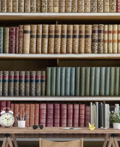 Leather Books on Bookshelf Wallpaper Mural