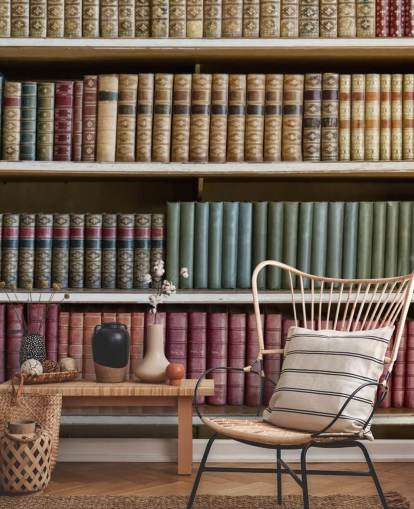 Leather Books on Bookshelf Wallpaper Mural