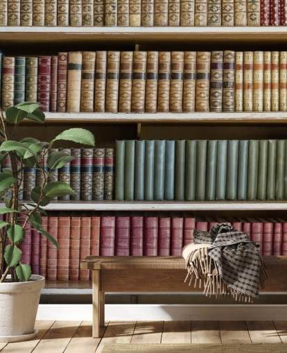 Leather Books on Bookshelf Wallpaper Mural