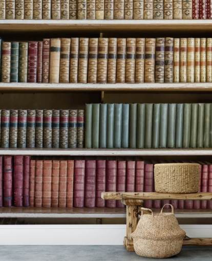 Tapeten-Wandbild „Bücher im Bücherregal“