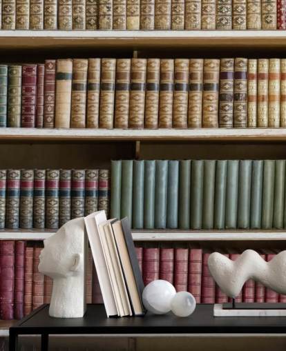 Leren boeken op boekenplank behang muurschildering