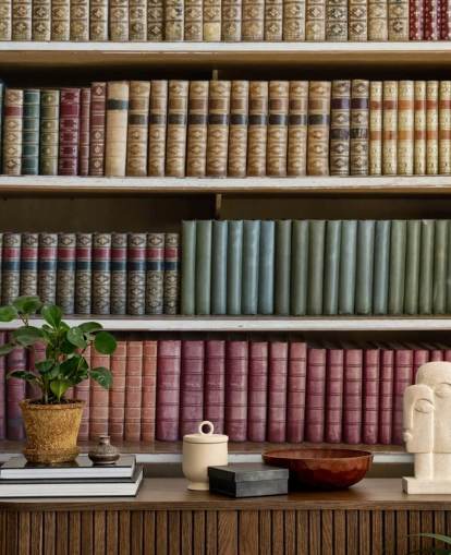 Leren boeken op boekenplank behang muurschildering