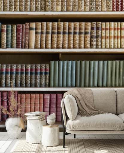 Papier Peint Fresque Livres en Cuir sur étagère