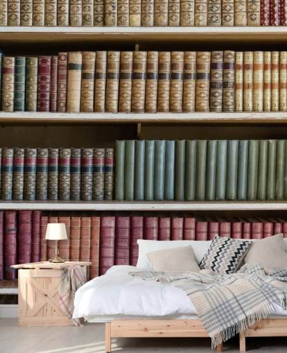 Papel pintado Libros en piel sobre estantería