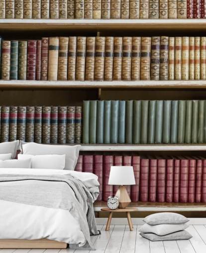 Papel pintado Libros en piel sobre estantería