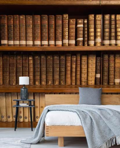 Brown Antique Books on Bookshelf Wallpaper Mural