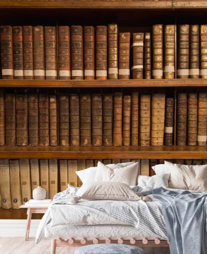Papier Peint Fresque Livres anciens sur étagère Marron