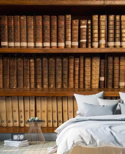 Livros antigos marrons no papel de parede da estante