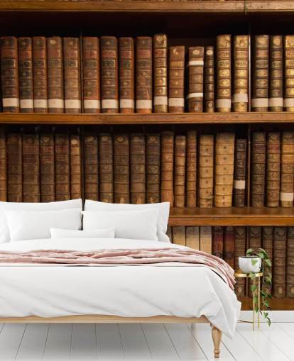 Brown Antique Books on Bookshelf Wallpaper Mural
