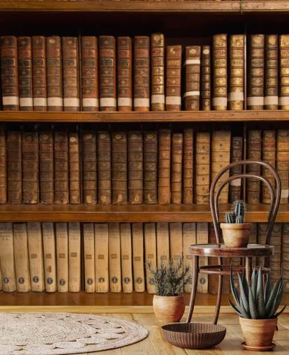 Carta da parati murale con libri antichi marroni su scaffale