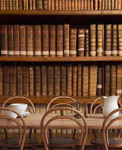 Carta da parati murale con libri antichi marroni su scaffale