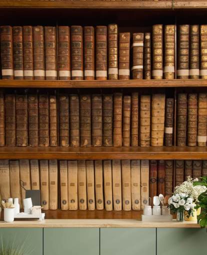 Papel pintado Libros antiguos en estantería marrón