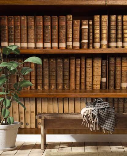 Brown Antique Books on Bookshelf Wallpaper Mural