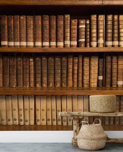 Brown Antique Books on Bookshelf Wallpaper Mural