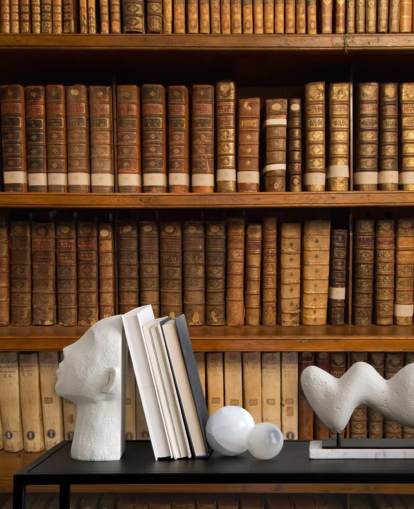 Brown Antique Books on Bookshelf Wallpaper Mural