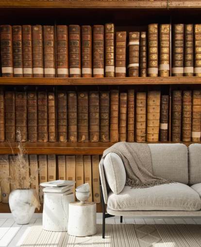 Brown Antique Books on Bookshelf Wallpaper Mural