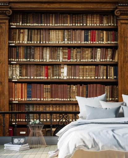 Altes Bücherregal Tapete