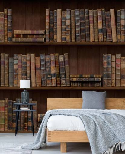 Papel pintado Libros antiguos sobre estantes