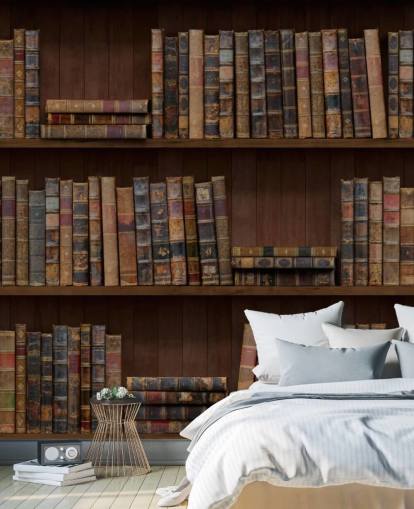Tapeten-Wandbild „Antike Bücher in Regalen“ Tapeten-Wandbild „Antike Bücher in Regalen“