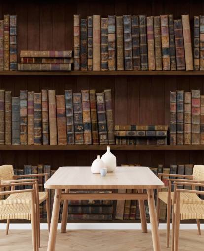 Tapeten-Wandbild „Antike Bücher in Regalen“ Tapeten-Wandbild „Antike Bücher in Regalen“