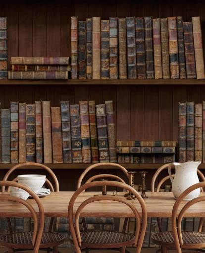 Tapeten-Wandbild „Antike Bücher in Regalen“
