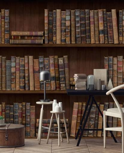 Papel pintado Libros antiguos sobre estantes