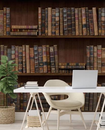 Antique Books on Shelves Wallpaper Mural