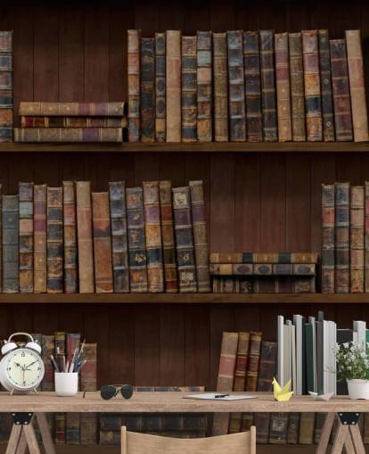 Tapeten-Wandbild „Antike Bücher in Regalen“ Tapeten-Wandbild „Antike Bücher in Regalen“