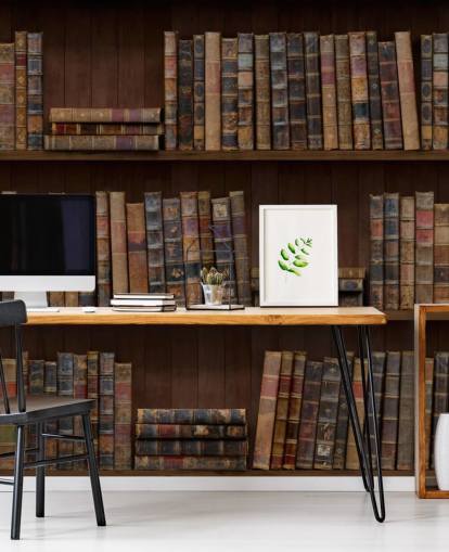 Papier Peint Fresque Livres anciens sur étagères