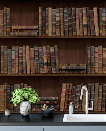 Antique Books on Shelves Wallpaper Mural