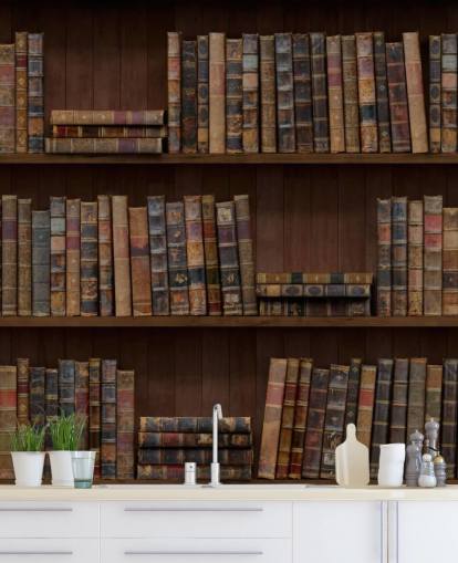 Papier Peint Fresque Livres anciens sur étagères
