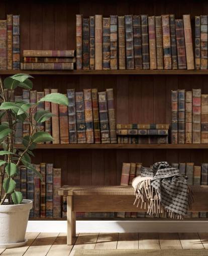 Tapeten-Wandbild „Antike Bücher in Regalen“