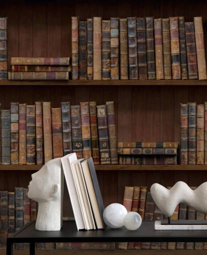Antique Books on Shelves Wallpaper Mural