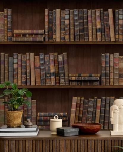 Tapeten-Wandbild „Antike Bücher in Regalen“