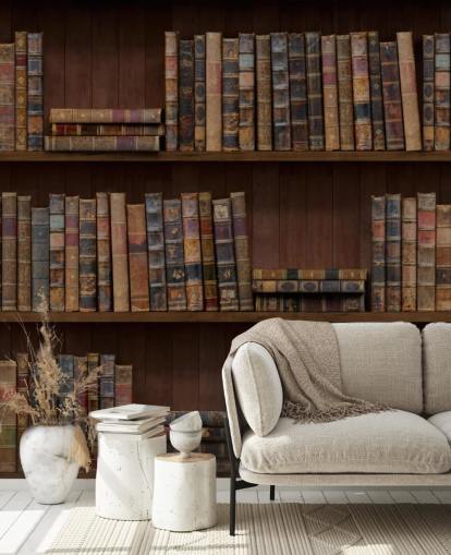 Papel pintado Libros antiguos sobre estantes