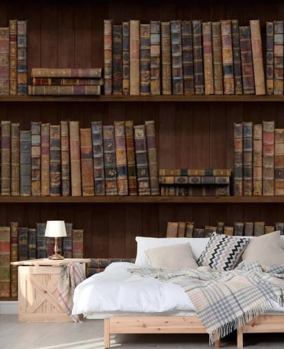 Antique Books on Shelves Wallpaper Mural