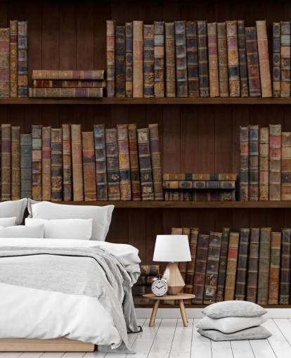 Papel pintado Libros antiguos sobre estantes