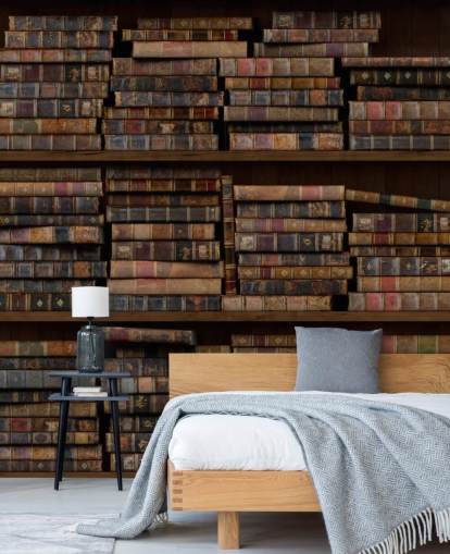 Dusty Books on Shelves Wall Mural