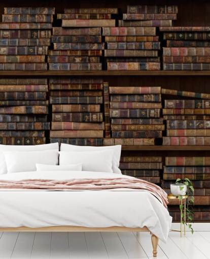 Papier Peint Fresque Livres sur étagères Poussiéreux