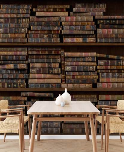 Mural de pared Libros polvorientos en estantes