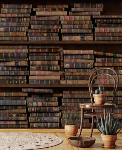 Mural de pared Libros polvorientos en estantes