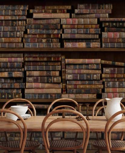 Dusty Books on Shelves Wall Mural Dusty Books on Shelves Wall Mural