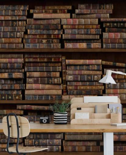 Dusty Books on Shelves Wall Mural