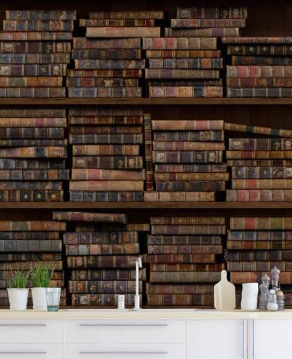 Dusty Books on Shelves Wall Mural