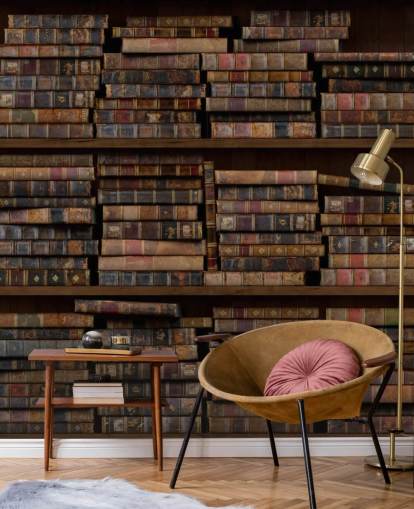 Stoffige boeken op planken muurschildering