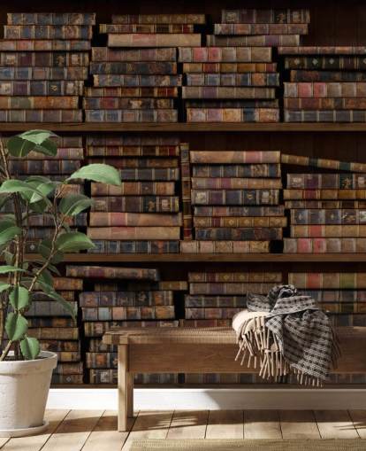 Dusty Books on Shelves Wall Mural