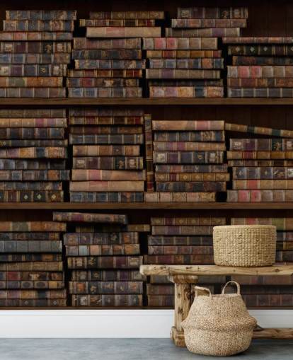 Papier Peint Fresque Livres sur étagères Poussiéreux